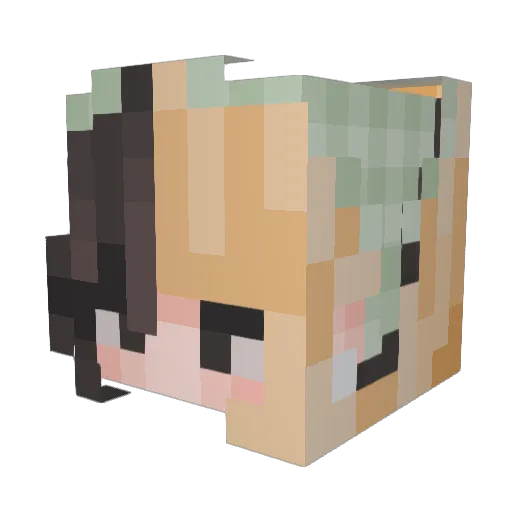 Teake4148 Minecraft avatar head, 3D render