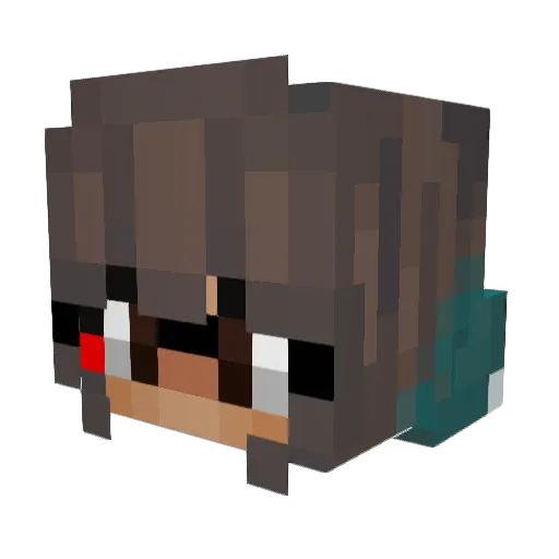 TealDocument Minecraft avatar head, 3D render