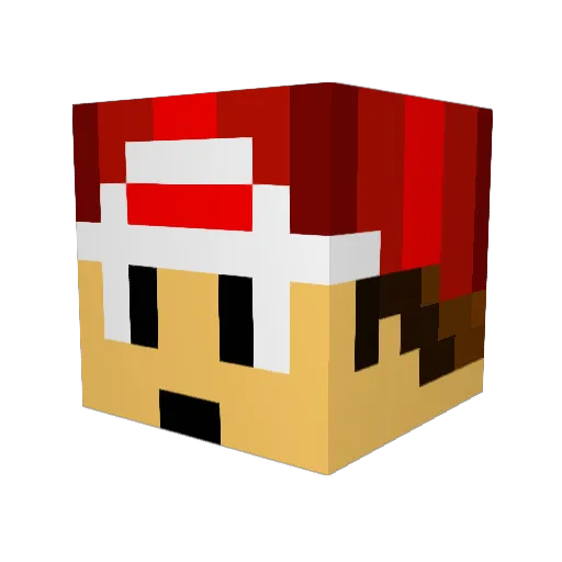 TealOtter Minecraft avatar head, 3D render