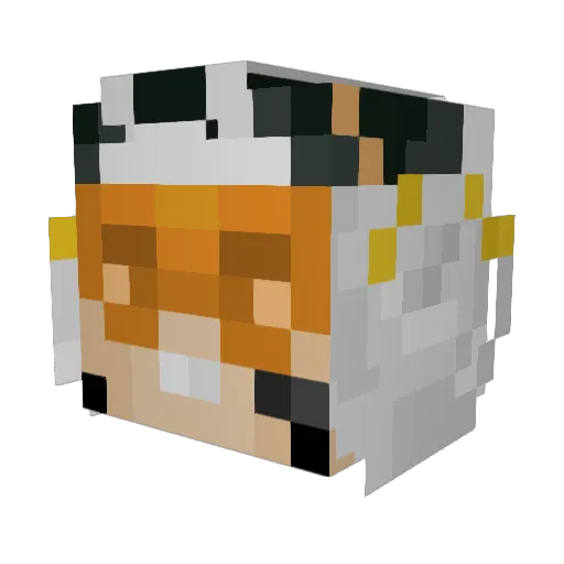 Tealeaves9732 Minecraft avatar head, 3D render