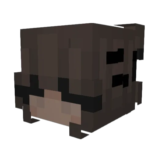 Tealhormiga Minecraft avatar head, 3D render