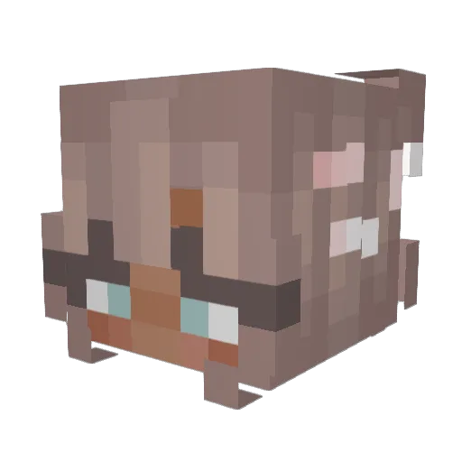 Tealphine Minecraft avatar head, 3D render