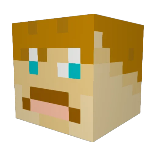 TeamBalto Minecraft avatar head, 3D render