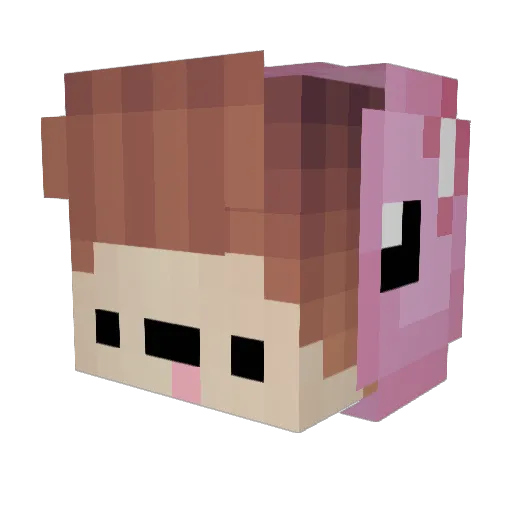 TeamCoresVerQ Minecraft avatar head, 3D render