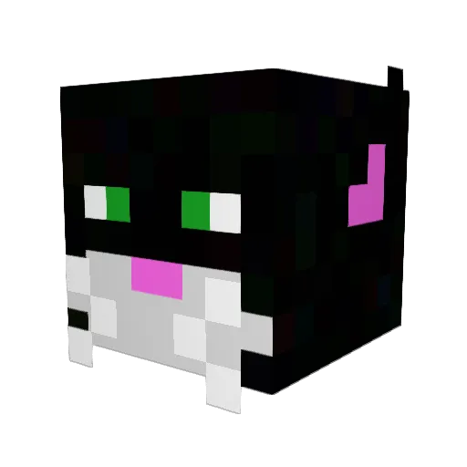 TeamKinsky5 Minecraft avatar head, 3D render