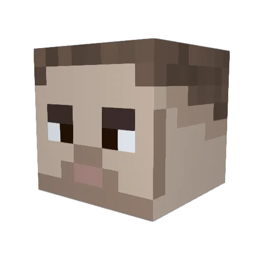 TeamMakeAWish Minecraft avatar head, 3D render