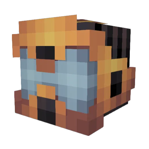 TeamNasty Minecraft avatar head, 3D render