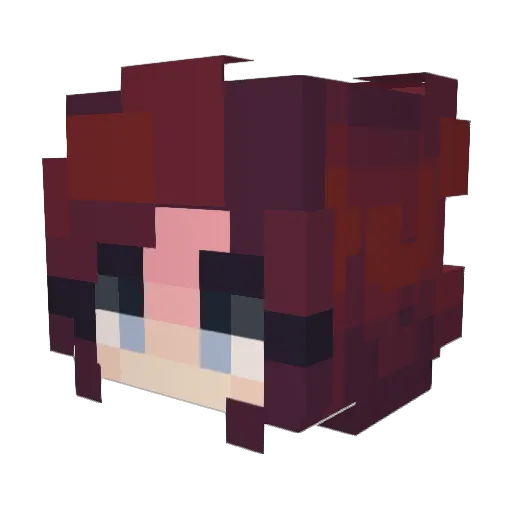 TeamPanda Minecraft avatar head, 3D render