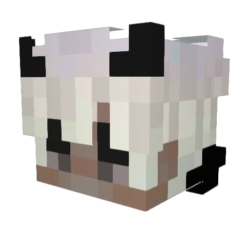 TeamPolska Minecraft avatar head, 3D render