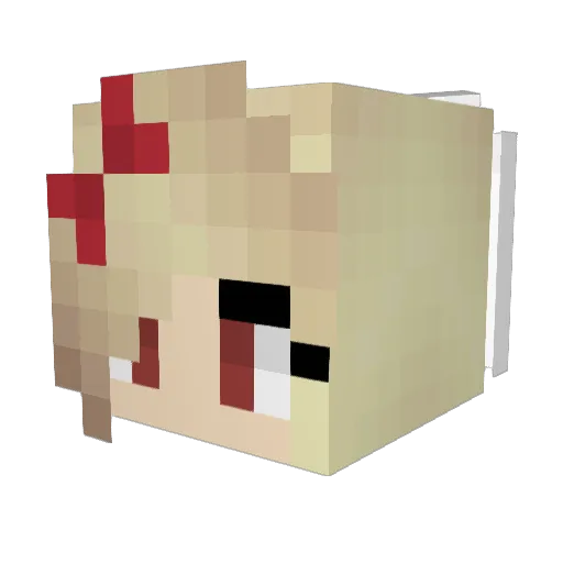 TeamRektFTW Minecraft avatar head, 3D render
