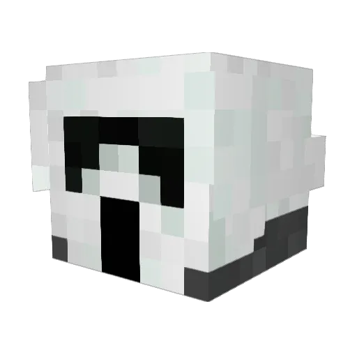 TeamSalway Minecraft avatar head, 3D render