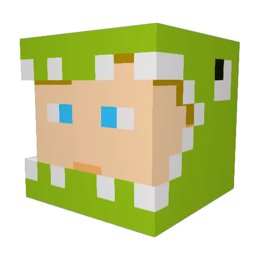 Team_Drex Minecraft avatar head, 3D render