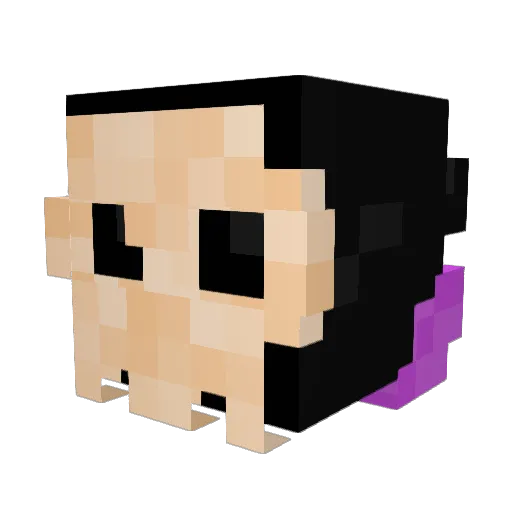 Team_Frogt Minecraft avatar head, 3D render
