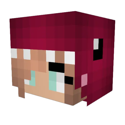 Team_awsome101 Minecraft avatar head, 3D render