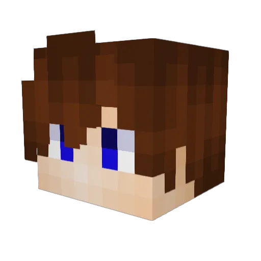 Teamnoobs25 Minecraft avatar head, 3D render