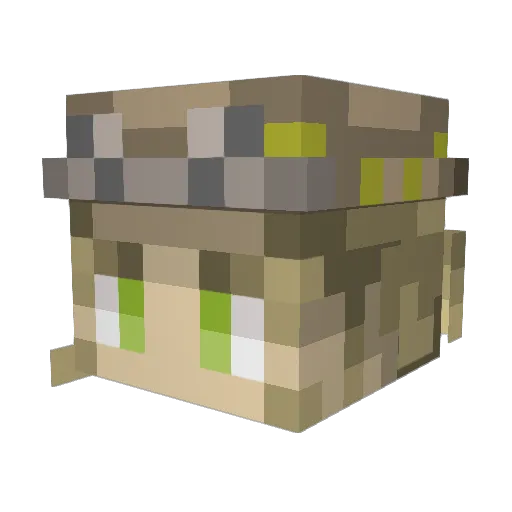 Teamomero Minecraft avatar head, 3D render