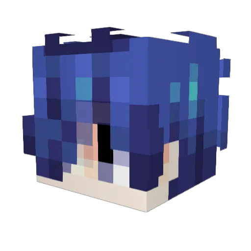 TeamsonicYT Minecraft avatar head, 3D render