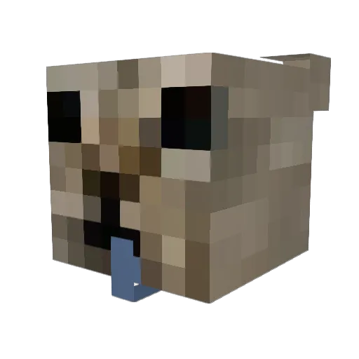 Teamuchin1 Minecraft avatar head, 3D render