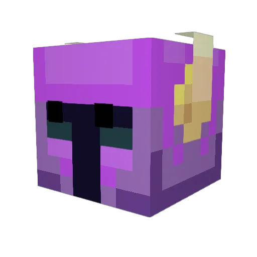 Teanga Minecraft avatar head, 3D render