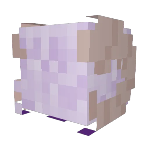 Teapenz Minecraft avatar head, 3D render