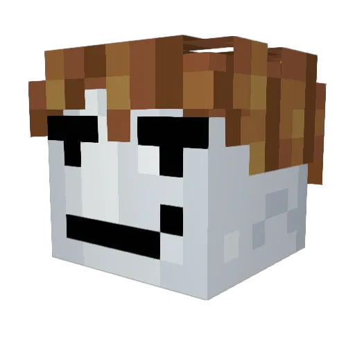 Teapie09 Minecraft avatar head, 3D render
