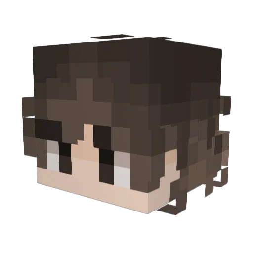 Tearian Minecraft avatar head, 3D render