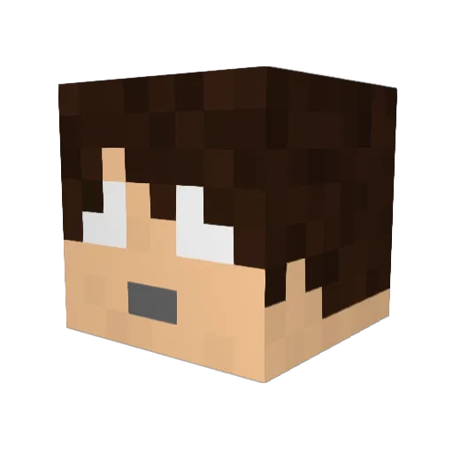 Tearid Minecraft avatar head, 3D render