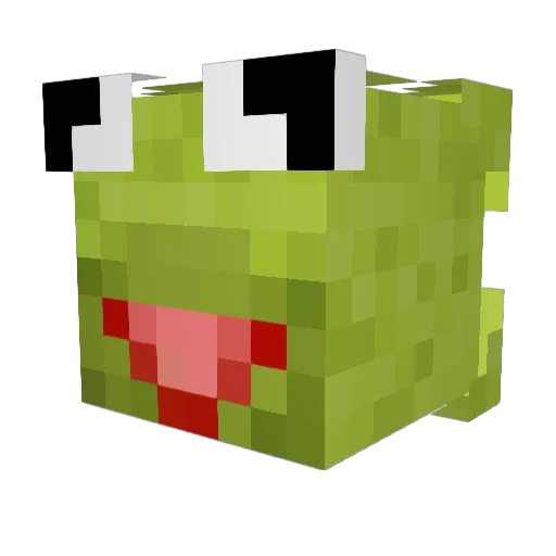 TearierFern4732 Minecraft avatar head, 3D render