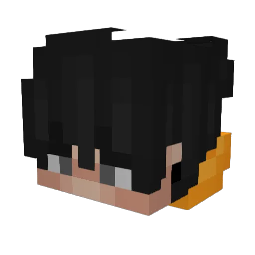 Teb2020 Minecraft avatar head, 3D render