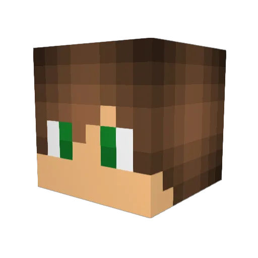 Teb_Z Minecraft avatar head, 3D render
