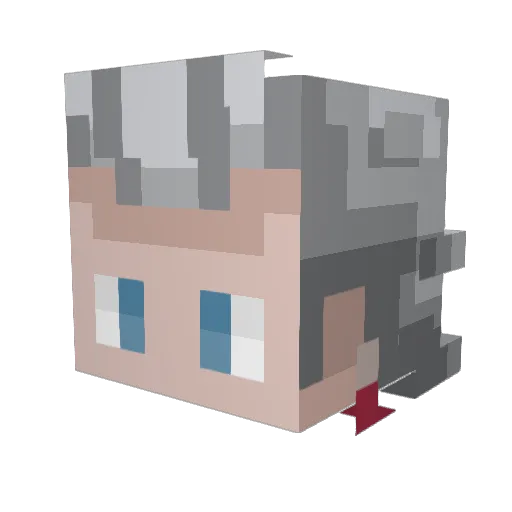 Tebryn Minecraft avatar head, 3D render