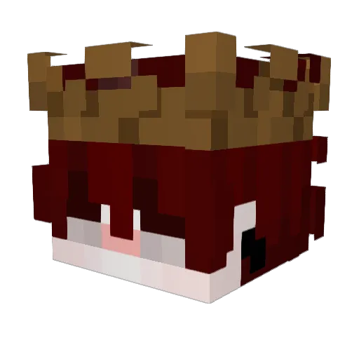 Tecatee Minecraft avatar head, 3D render