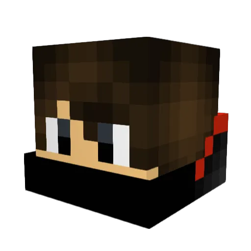 Tech1704 Minecraft avatar head, 3D render