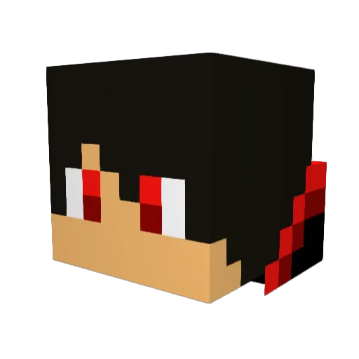 Tech1family_YT Minecraft avatar head, 3D render