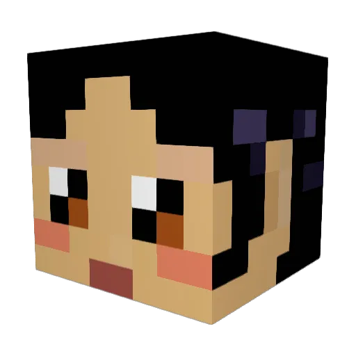TechCamper1 Minecraft avatar head, 3D render
