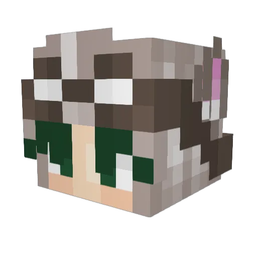 TechCircuits Minecraft avatar head, 3D render