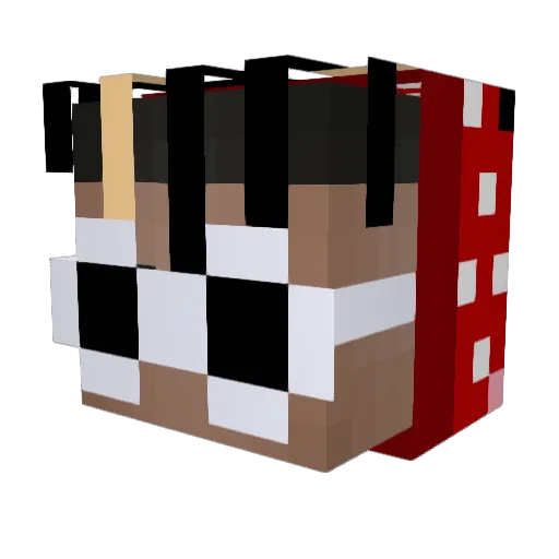 TechHero_ Minecraft avatar head, 3D render
