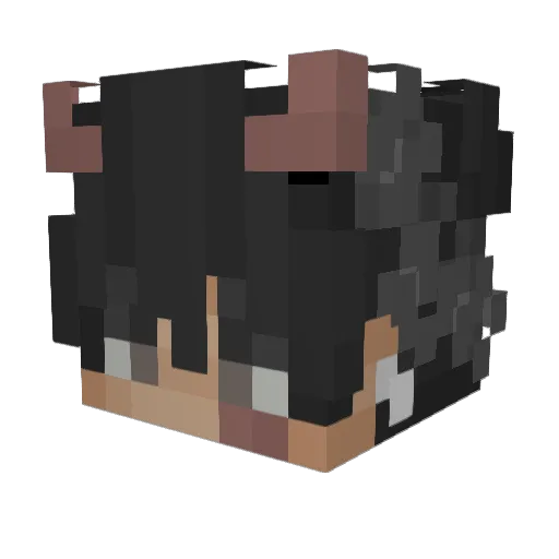 TechPlayz01 Minecraft avatar head, 3D render