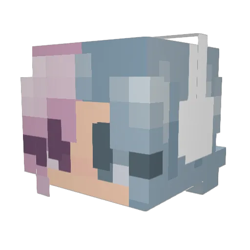 TechSupportBot Minecraft avatar head, 3D render