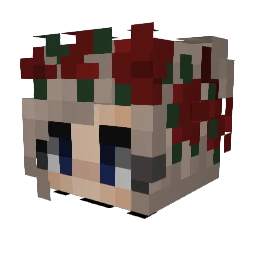 TechTesters Minecraft avatar head, 3D render