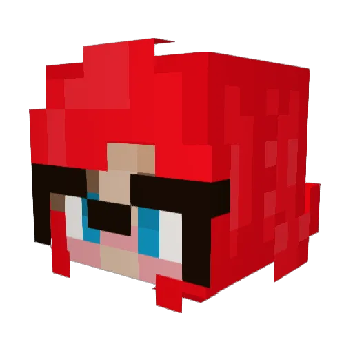 Tech_Reader Minecraft avatar head, 3D render