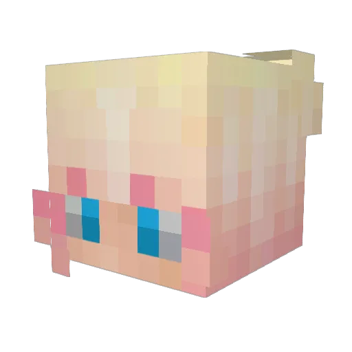 TechableGames Minecraft avatar head, 3D render