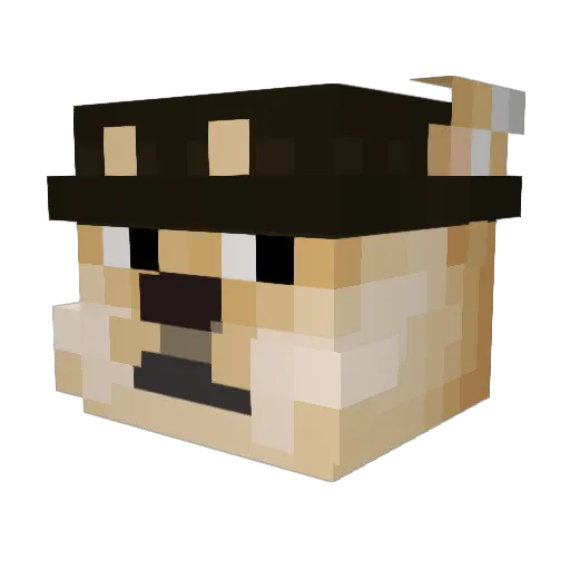 Techic04 Minecraft avatar head, 3D render