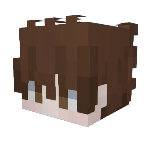 Techking418 Minecraft avatar head, 3D render