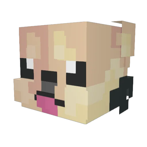 Techmaster23 Minecraft avatar head, 3D render