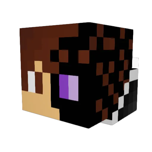Technic_907 Minecraft avatar head, 3D render