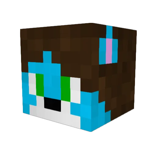 TechnicalFox Minecraft avatar head, 3D render