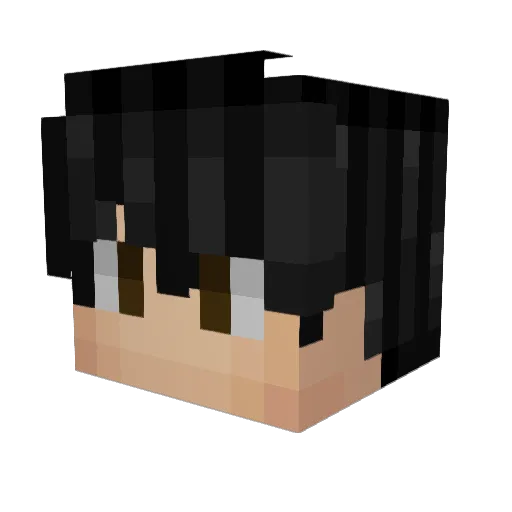 TechnicianX Minecraft avatar head, 3D render