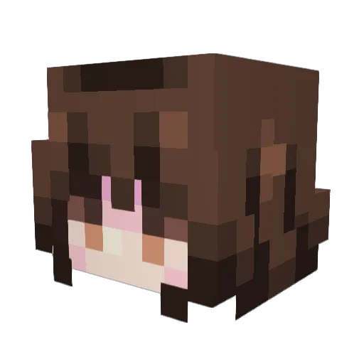 Techniflora Minecraft avatar head, 3D render