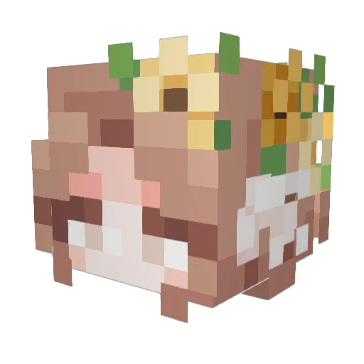TechnoEverett Minecraft avatar head, 3D render
